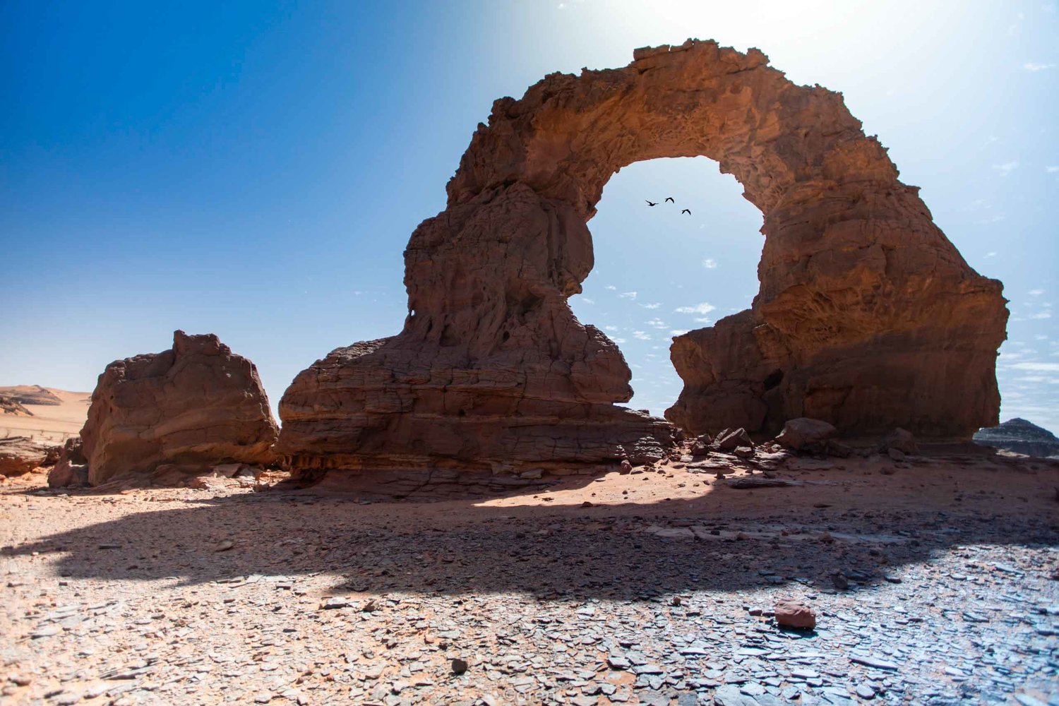 Tassili n'Ajjer & Tadrart  